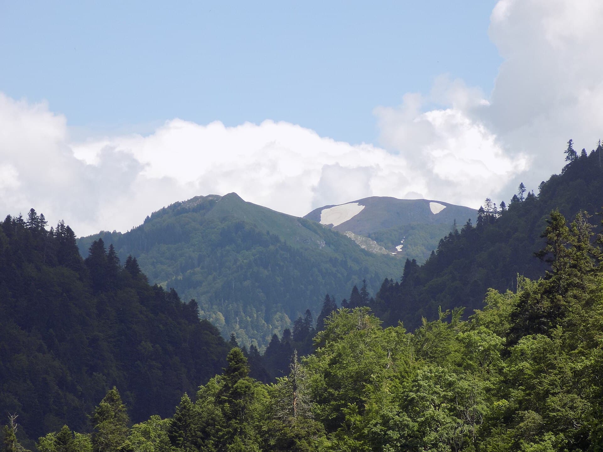Radfahren in Nationalpark Biogradska Gora