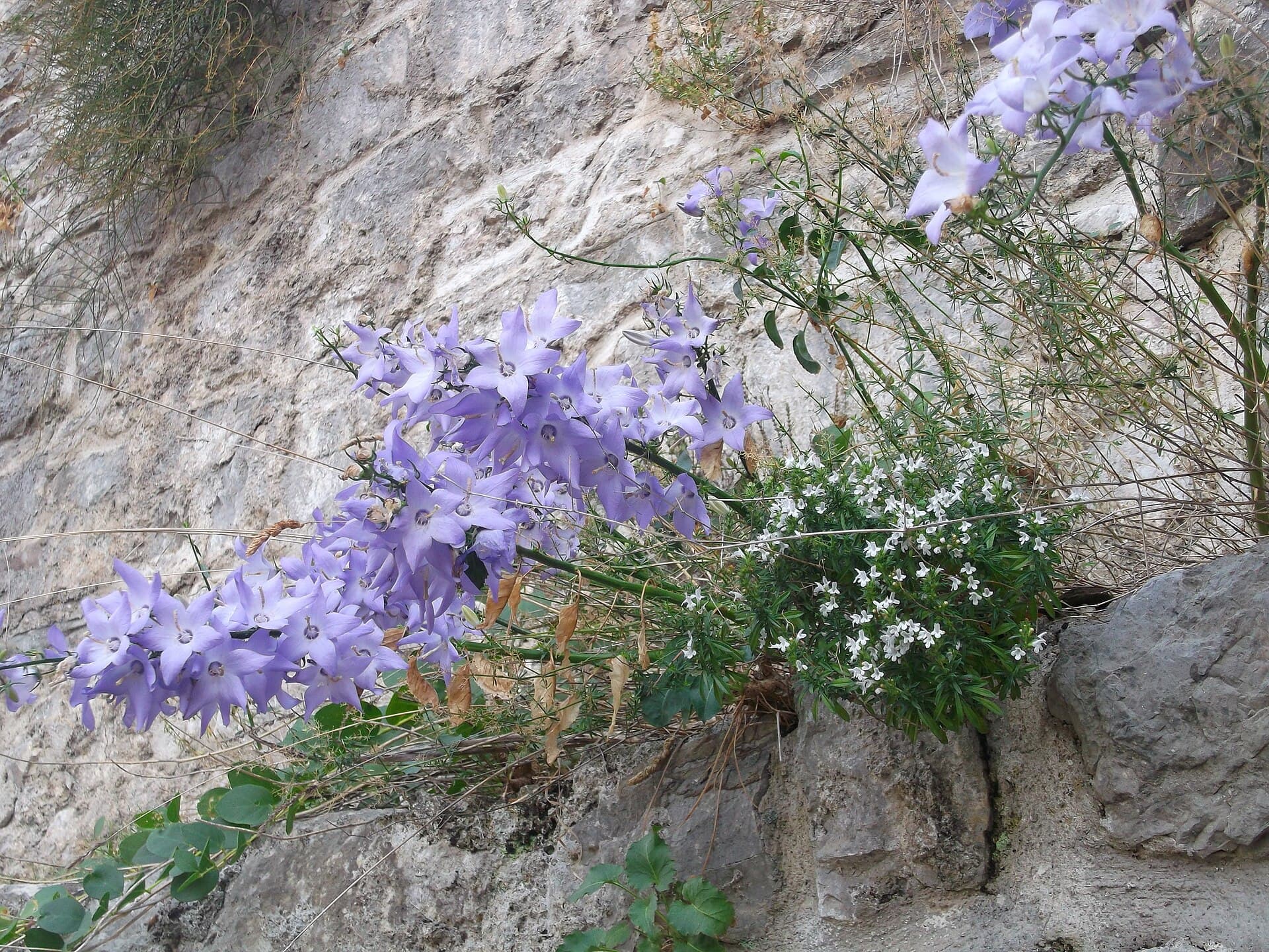 Anreise und Fortbewegung vor Ort