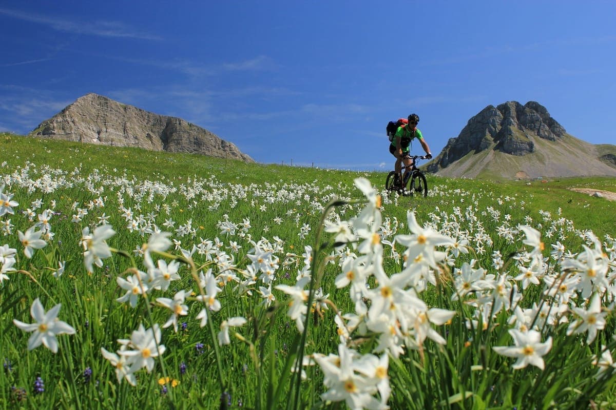 Fietsen in Montenegro: een gids voor beginners