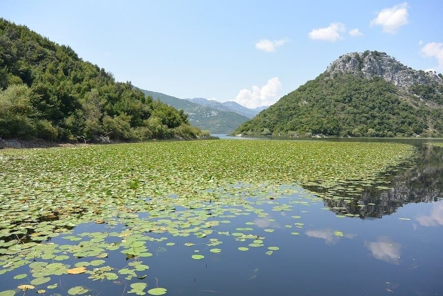 VTT au Monténégro : Bouches de Kotor et lac de Skadar en 8 jours 4