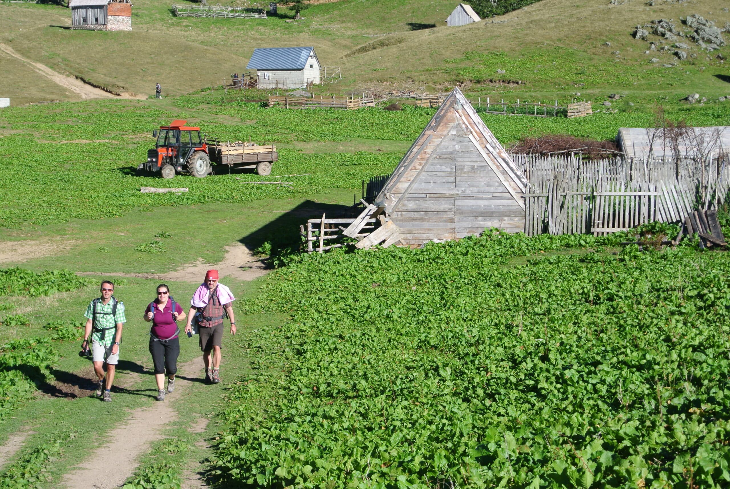 Walking in Montenegro