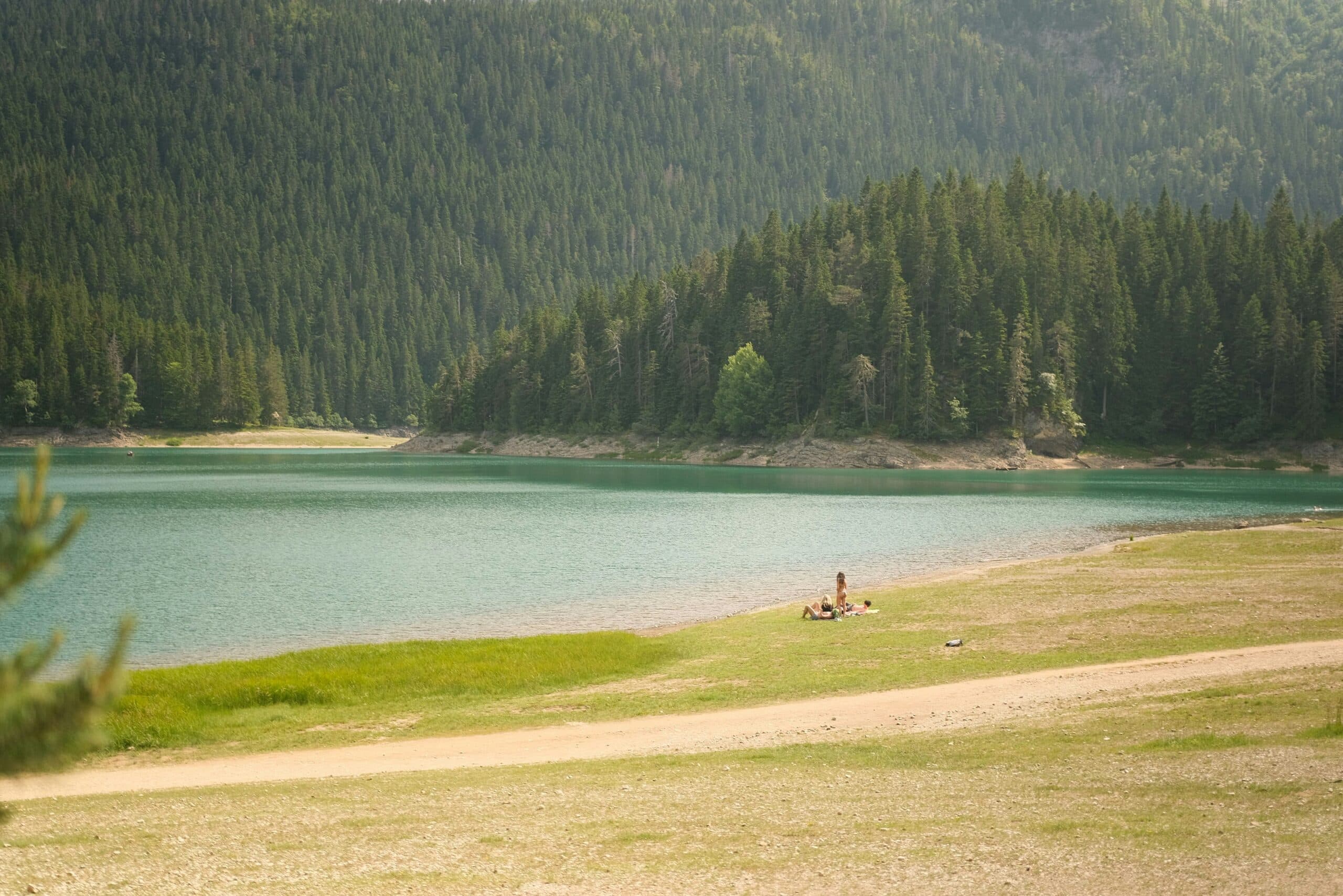 Biogradska Gora: Hiking Through Europe’s Last Primeval Rainforest