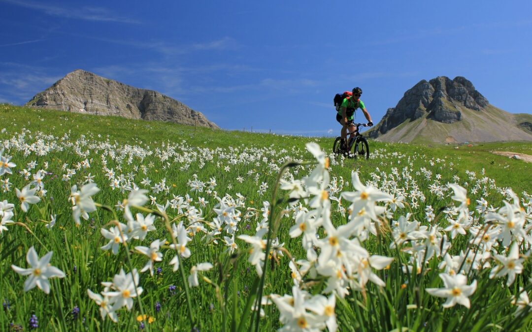 A Beginner’s Guide to Cycling in Montenegro