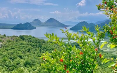 Pedal and Pour: Exploring the Beauty of Lake Skadar with a Scenic Ride and Wine Tasting