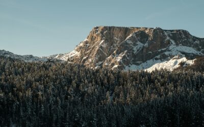 Montenegro Weather in January