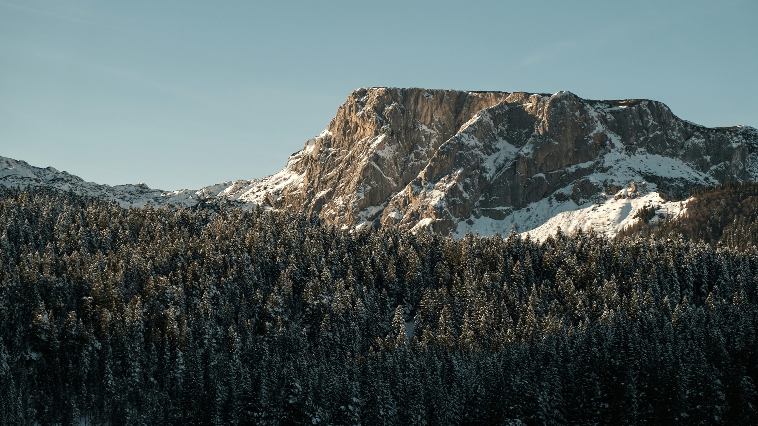 montenegro weather in january