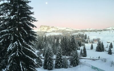 Montenegro Weather in February