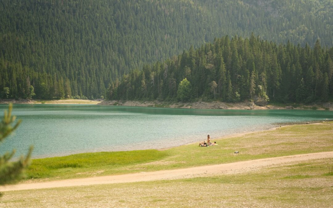 Biogradska Gora: Hiking Through Europe’s Last Primeval Rainforest