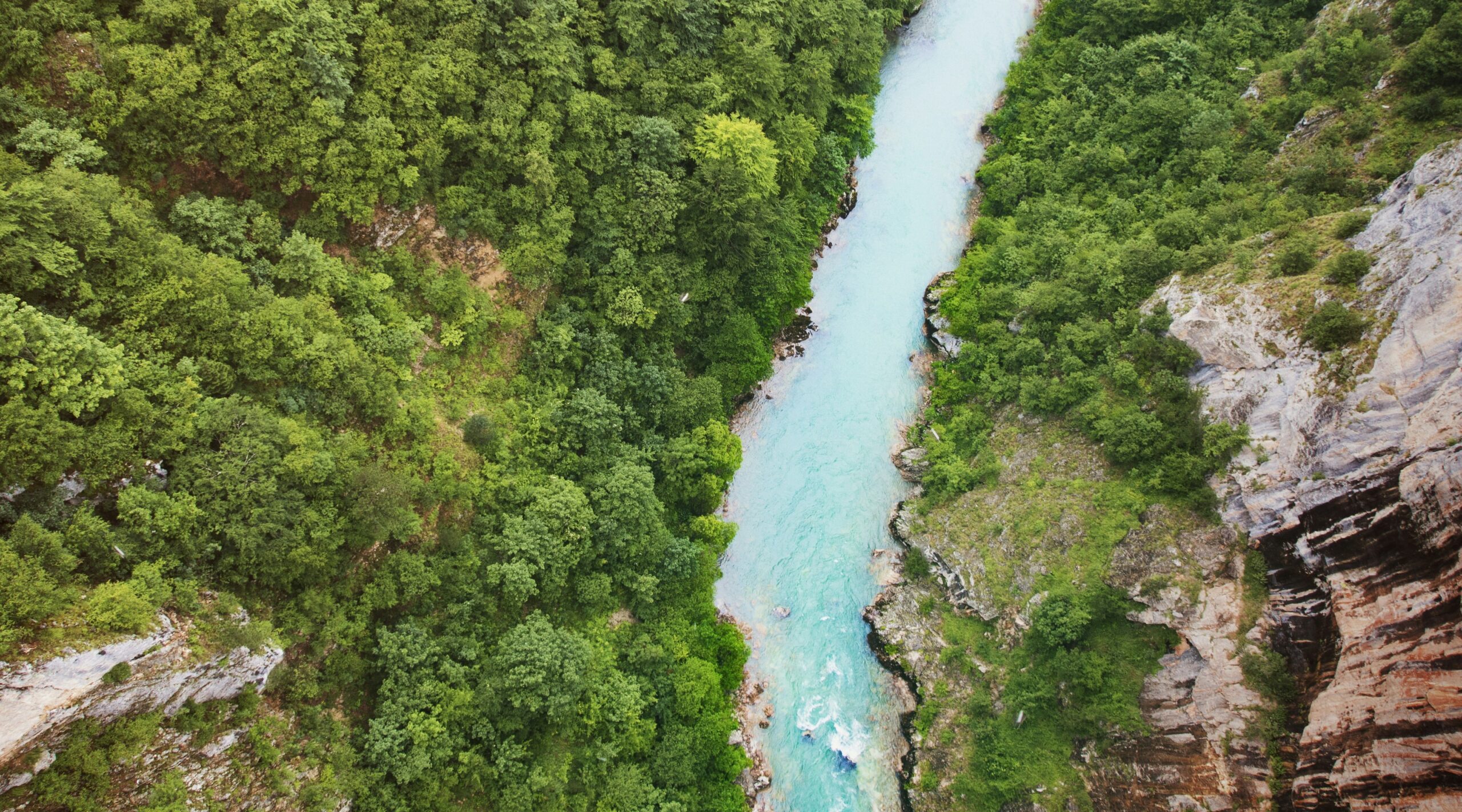 mika-wegelius-x_WKjBFOiWA-unsplash